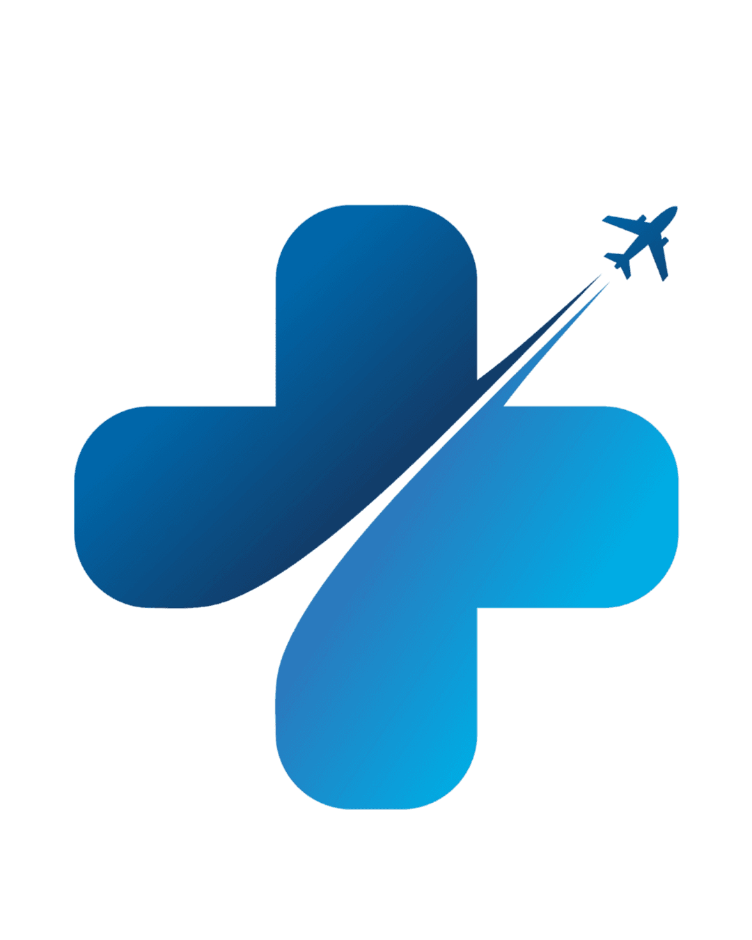 Medical Tours India Logo